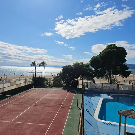 Olivos Bb1